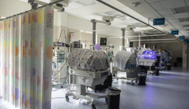 Jornal de Notícias Logo