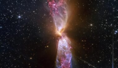 Jornal de Notícias Logo