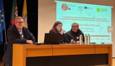 Especialistas de Arte Rupestre reunidos em Mação