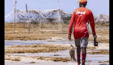 Exposição fotográfica nas areias da Ponta Verde defende a permanência dos currais de pesca