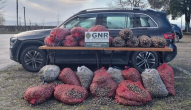 Jornal de Notícias Logo