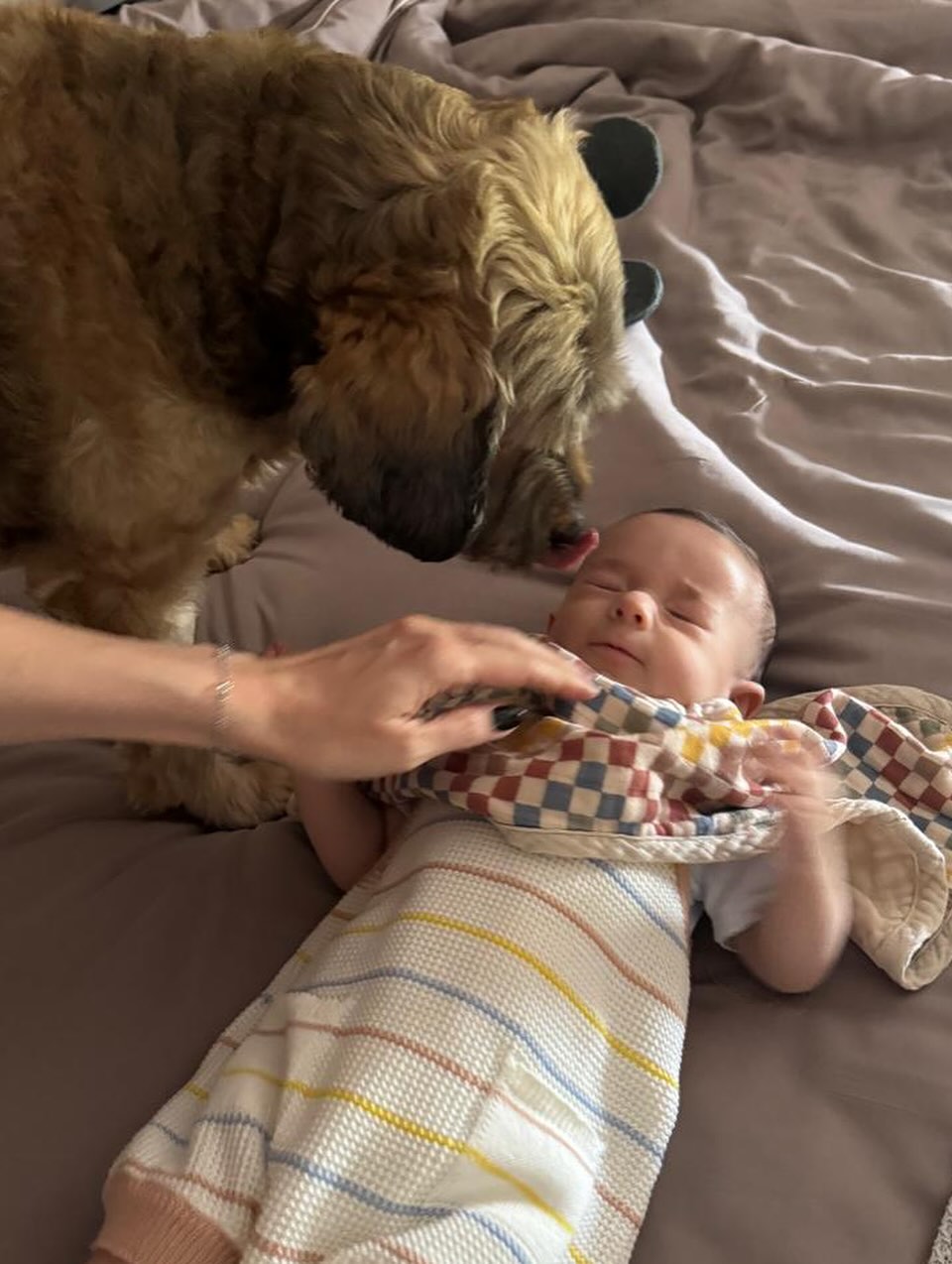 Dani Calabresa mostra fotos do filho, Bernardo - Foto: Reprodução / Instagram