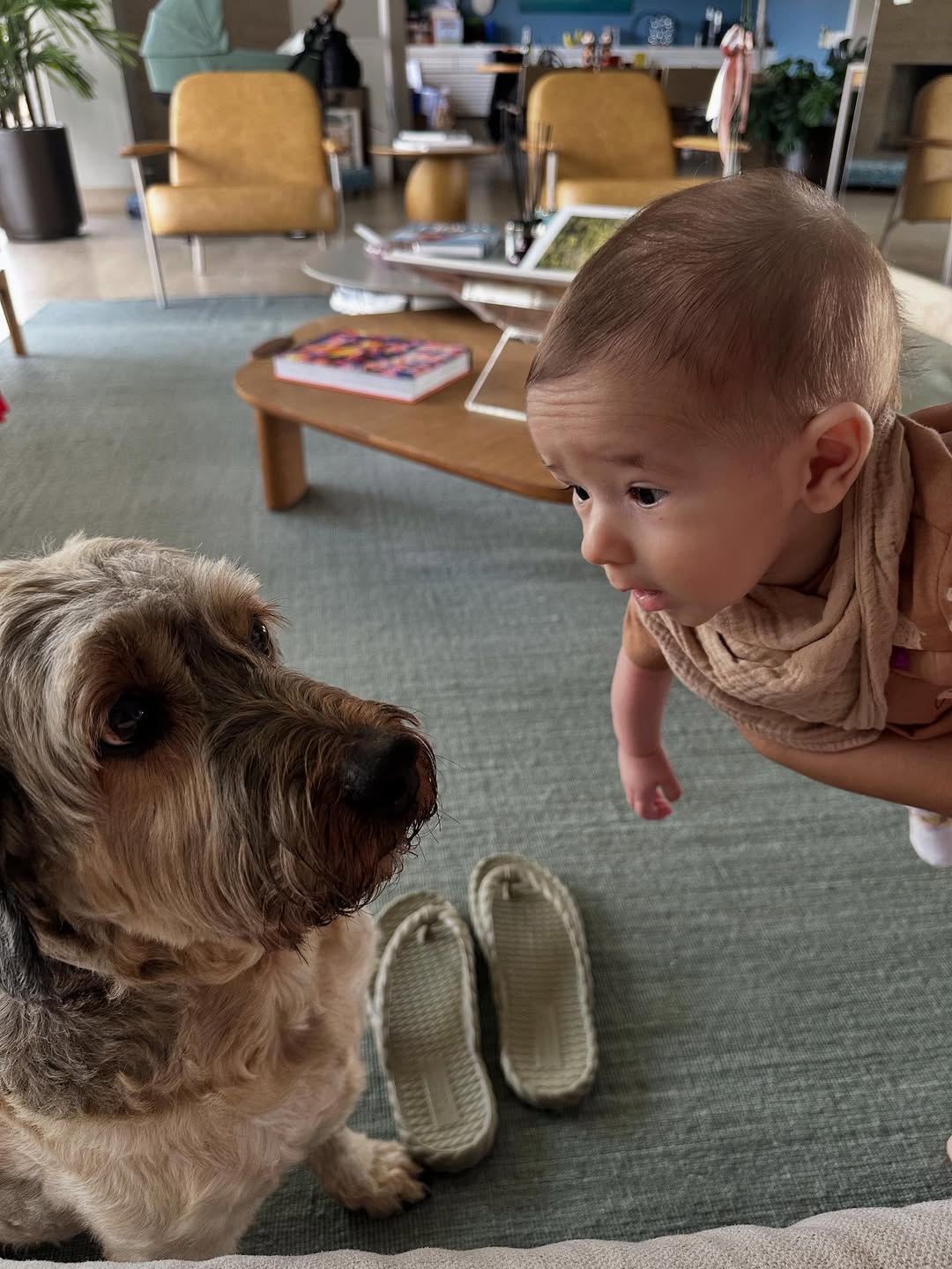 Dani Calabresa mostra fotos do filho, Bernardo - Foto: Reprodução / Instagram