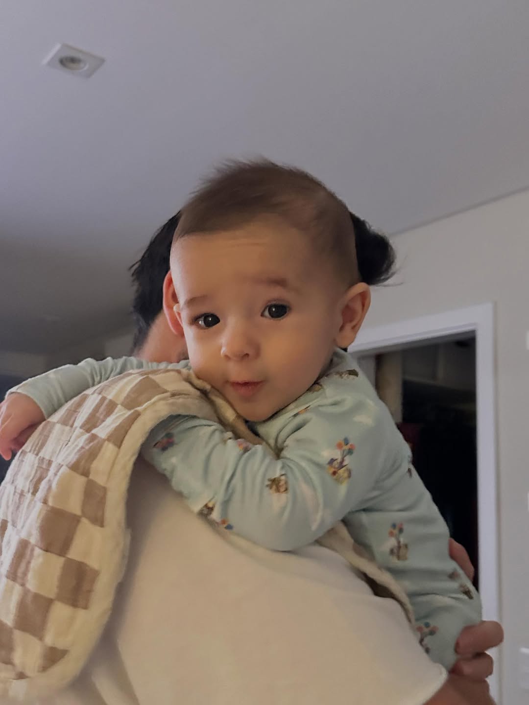 Dani Calabresa mostra fotos do filho, Bernardo - Foto: Reprodução / Instagram