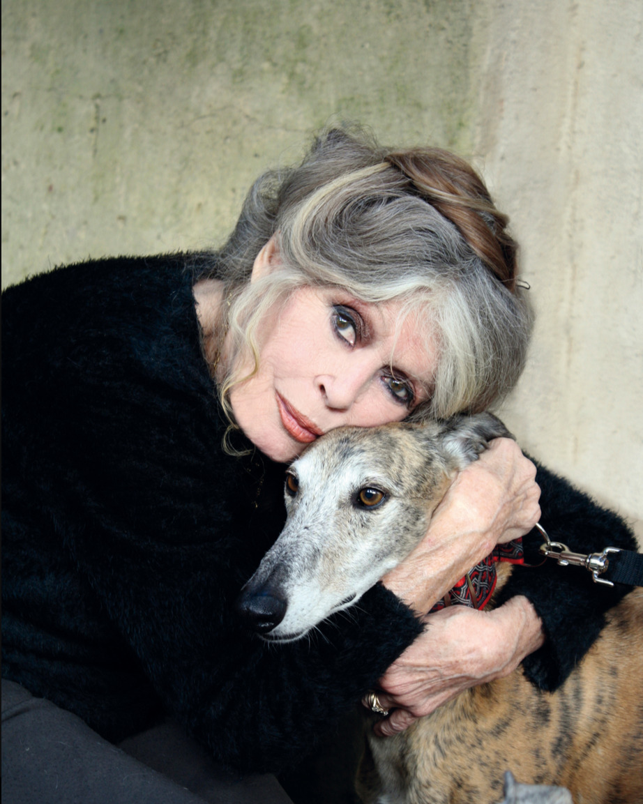 Crédito: Reprodução Instagram @fondationbrigittebardot