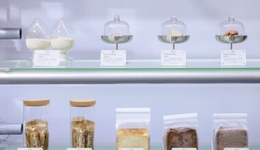 China cria proteína mil vezes mais eficiente que a carne, sem colesterol e sem impacto ambiental da pecuária