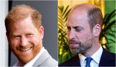 Harry quer criar sua própria 'filial' da Família Real para rivalizar com William, diz colunista | Celebridades