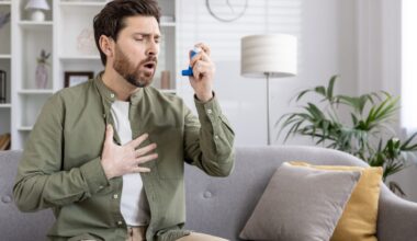 calor, estresse e exageros nas festas podem ser perigosos