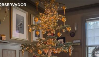 as árvores dos famosos – Observador