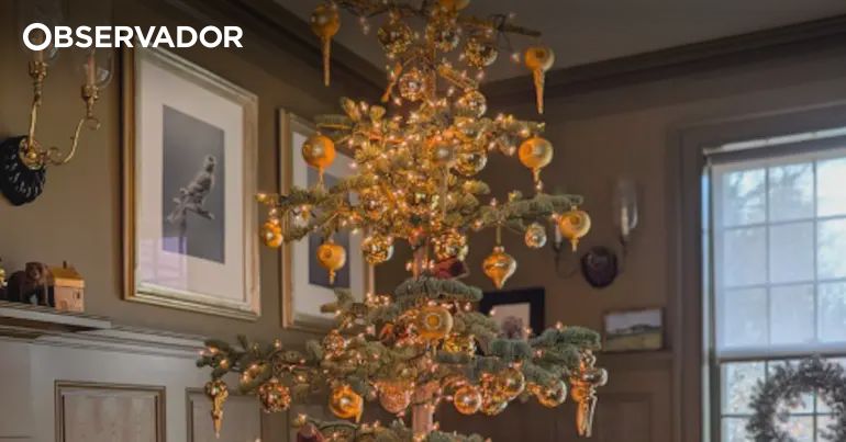 as árvores dos famosos – Observador