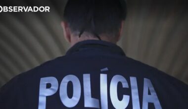 Dez pessoas envolvidas em desacatos no Mercado de Benfica – Observador