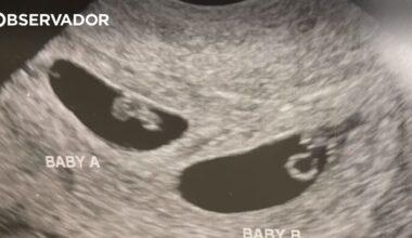 Chineses usam barrigas de aluguer para ter dezenas de filhos – Observador