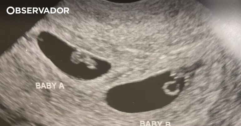 Chineses usam barrigas de aluguer para ter dezenas de filhos – Observador