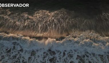 Triatleta terá sido morta por tubarão na Califórnia – Observador