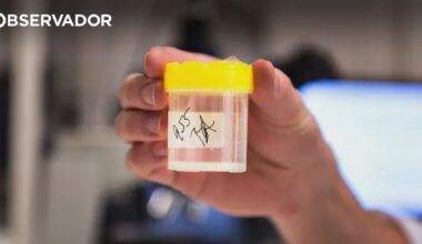 Dador de esperma transmite gene raro a quase 200 crianças – Observador