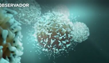 Dieta rica em gordura aumenta risco de cancro do fígado – Observador