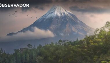 Os vencedores do International Photographer of the Year – Observador