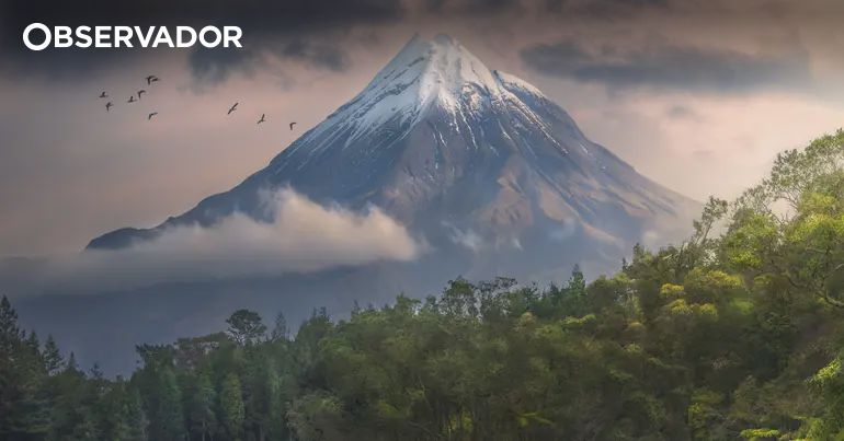 Os vencedores do International Photographer of the Year – Observador