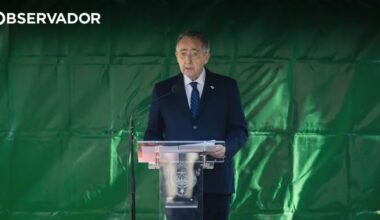 1º de dezembro. Ribeiro e Castro "embaraçado" com voto na AD – Observador