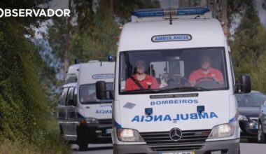 Condutor que fugiu após atropelamento mortal entregou-se – Observador