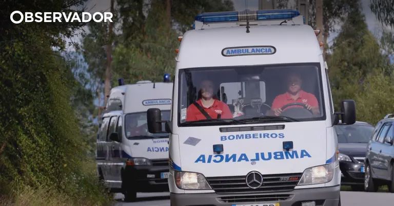 Condutor que fugiu após atropelamento mortal entregou-se – Observador