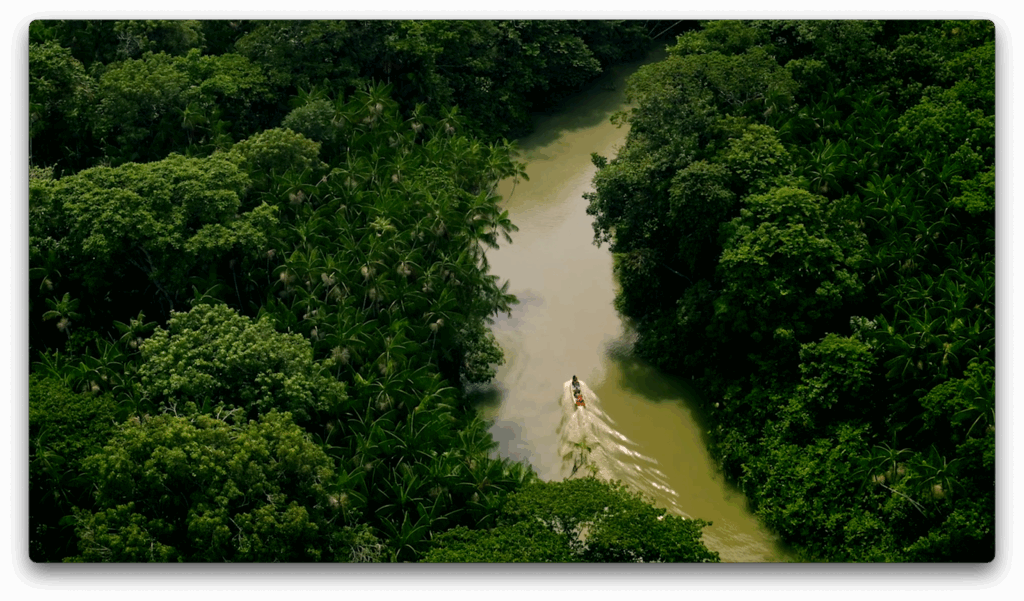 A Vale encerra 2025 com uma ação de fim de ano que resgata o "Tempo da Floresta", conceito institucional trabalhado neste ano.