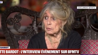 Última aparição de Brigitte Bardot foi em entrevista rara em casa, sete meses antes da morte — Foto: Reprodução