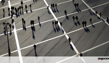 Cerca de 1,5 milhões de trabalhadores ganham até 920 euros - Segurança Social