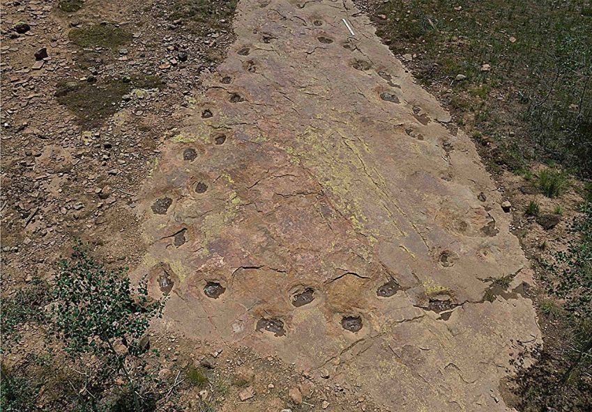 A trilha de pegadas fossilizadas foi encontrada em um sítio arqueológico proxímo de Ouray, em West Gold Hill, no Colorado. • Créditos: Reprodução/Dr. Paul Murphey