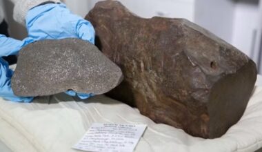 homem guarda “pedra de ouro” por três anos e descobre origem