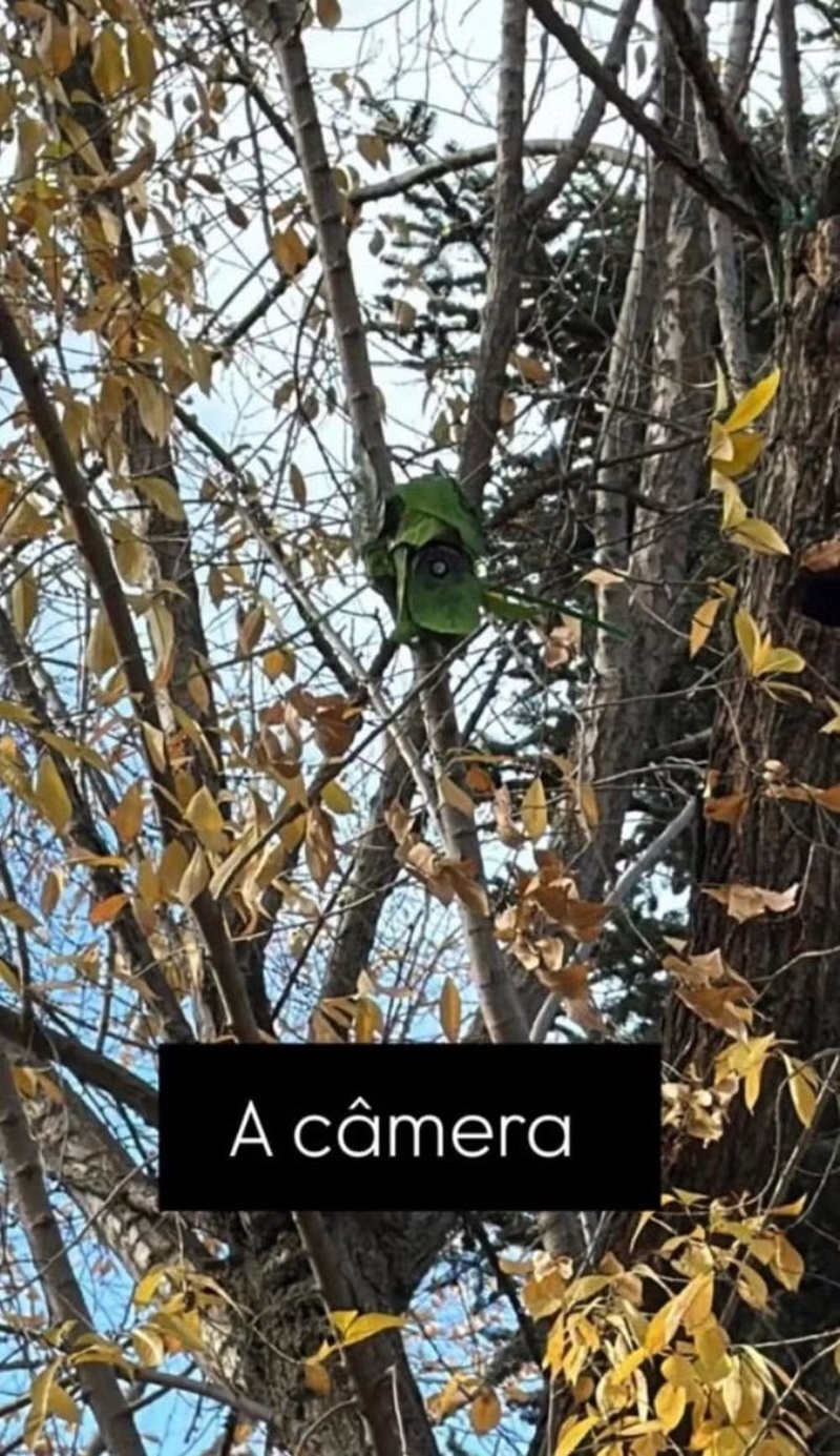 Tainá Militão descobre câmera camuflada — Foto: Reprodução/Instagram