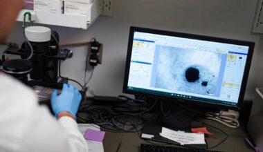 Cientistas desenvolvem mini coração humano para estudos