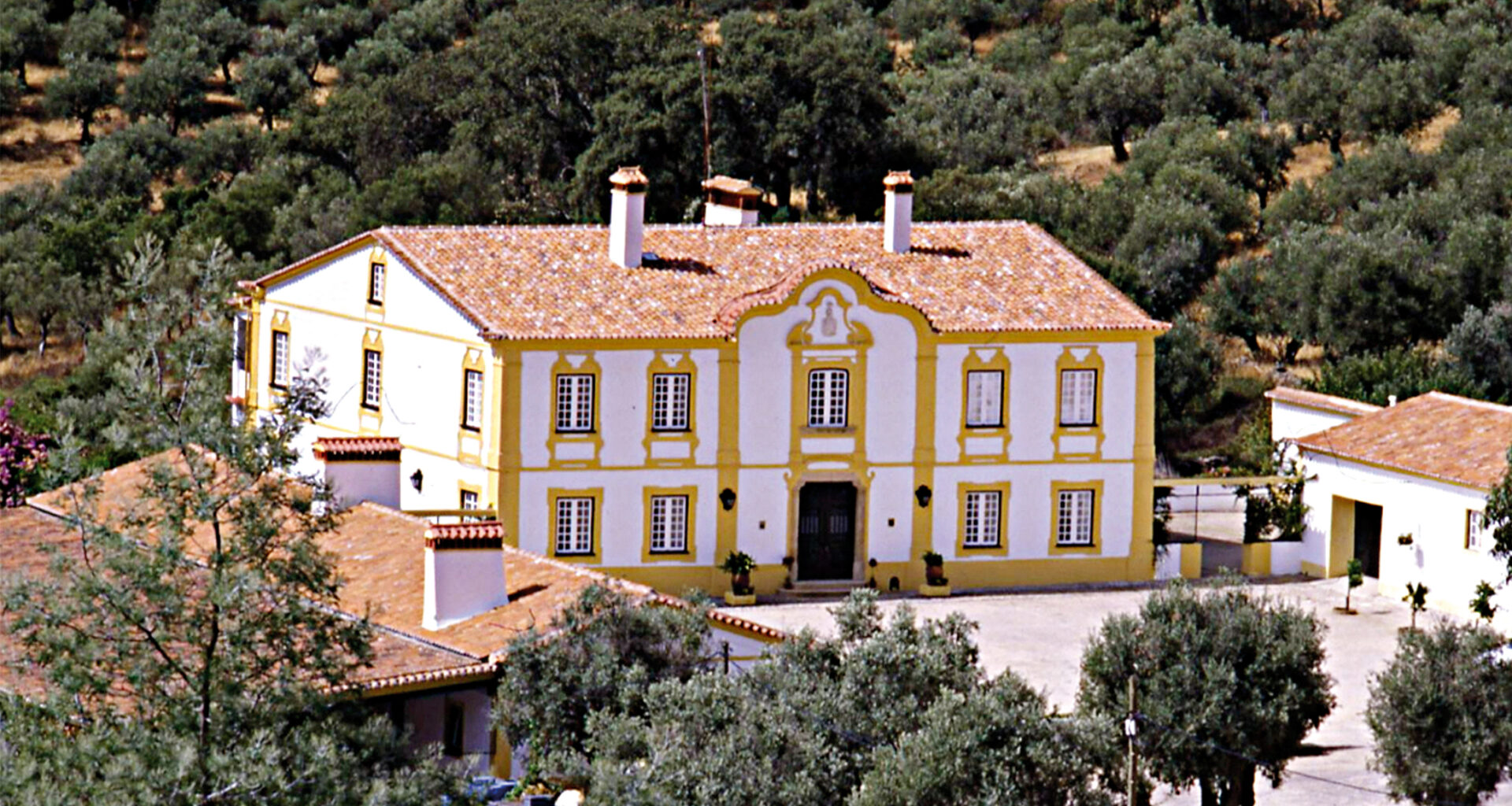 Aos 101 anos, a m&atilde;e de Francisco &eacute; das maiores cr&iacute;ticas dos vinhos Monte da Penha