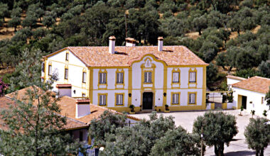 Aos 101 anos, a m&atilde;e de Francisco &eacute; das maiores cr&iacute;ticas dos vinhos Monte da Penha