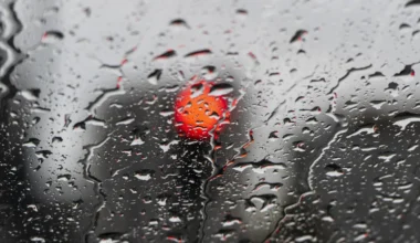 Máximas até 21ºC, mínimas sobem e chuva continua: As previsões do IPMA