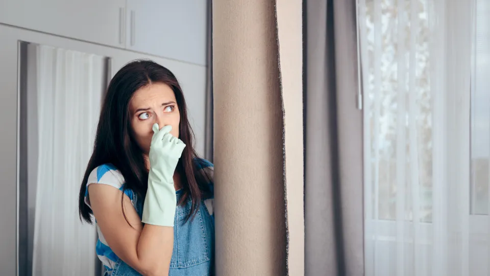 Quatro razões pelas quais a sua casa cheira a mofo e como resolver isto