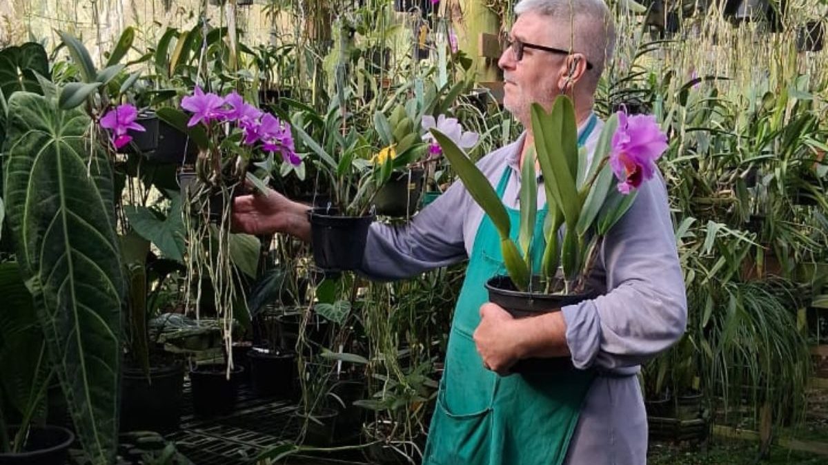 O que fazer com as plantas quando viajar? Veja dicas