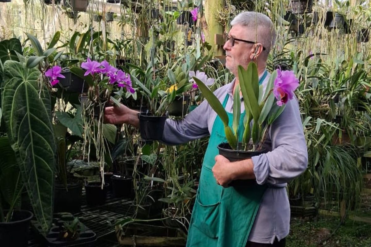 O que fazer com as plantas quando viajar? Orquidófilo de SC explica como cuidar das plantas antes de sair de casa
