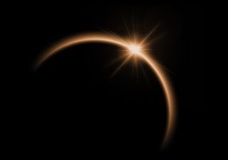 Eclipses solares alteram o comportamento das aves. Estudo mostra que elas ficam silenciosas no escuro