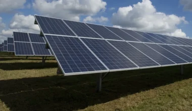 Estudo mostra solução para a sombra que os painéis solares fazem sobre as culturas