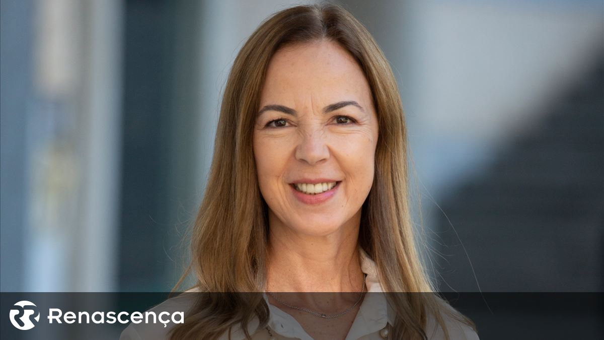 Pequenas vitórias, grandes mudanças: os líderes inovadores olham para trás antes de dar um salto à frente