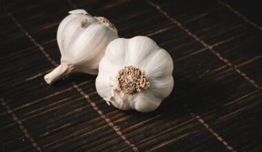 Enxaguante bucal de alho demonstra forte potencial de combate aos germes, aponta estudo
