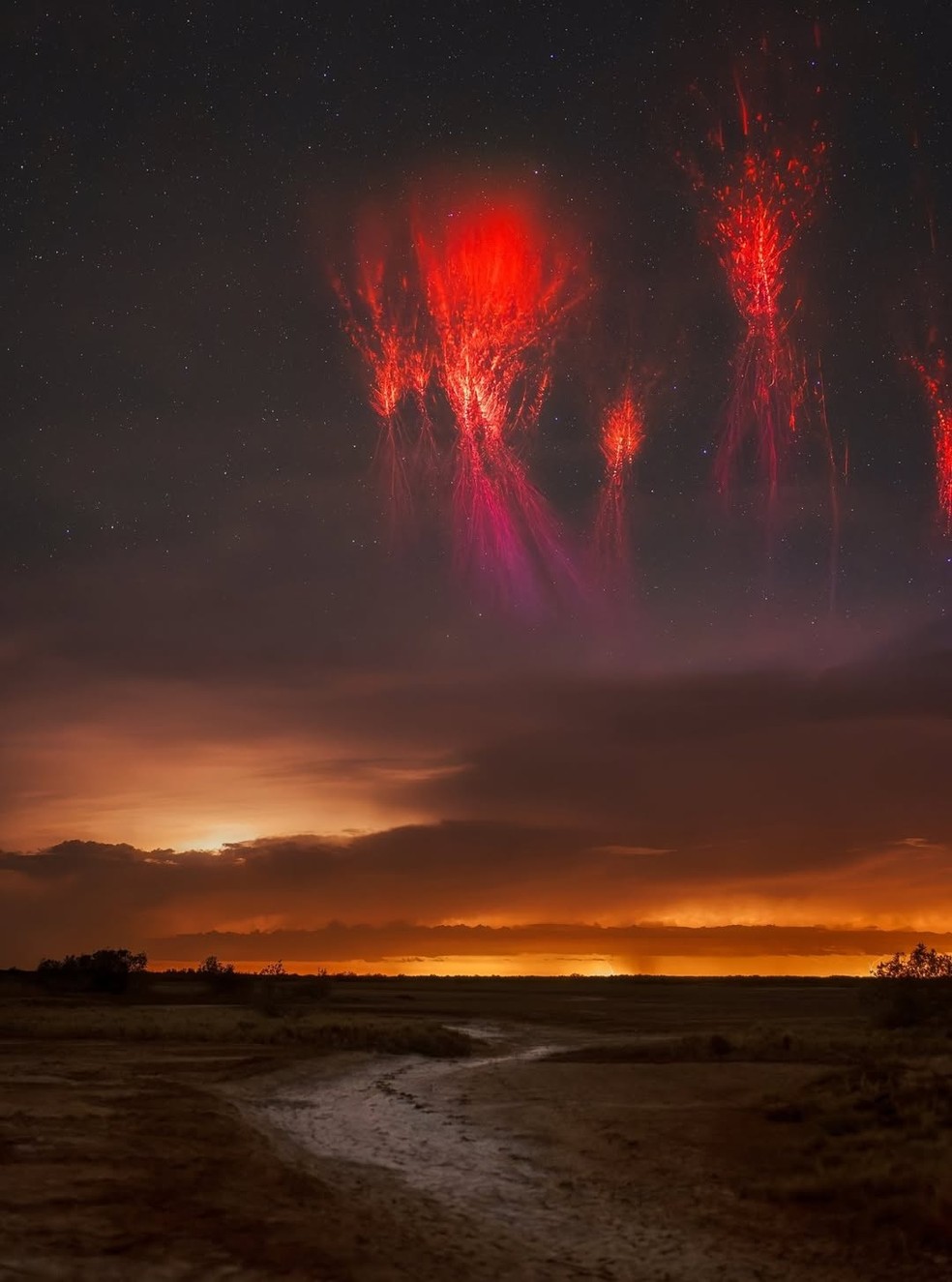Em 'The Watchers', J.J. Rao capturou um raros sprites vermelhos no céu noturno, o que rendeu a vitória no Capture The Dark 2025 — Foto: JJ Rao / Capture The Dark