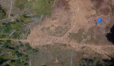 Dinossauro "mancando" deixou pegadas fossilizadas? Entenda a descoberta