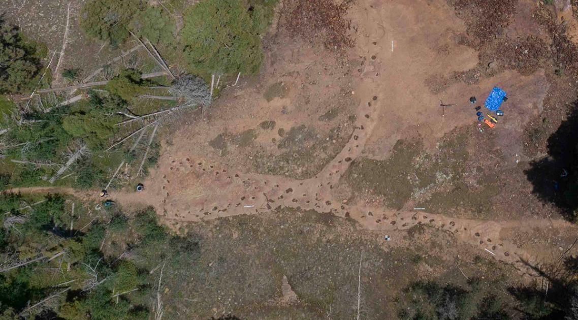 Dinossauro "mancando" deixou pegadas fossilizadas? Entenda a descoberta