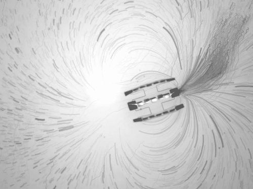 Robôs menores que um grão de sal resolvem enigma de 40 anos