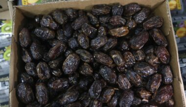 Tâmara: o fruto nutritivo que ganha destaque nas festas de fim de ano