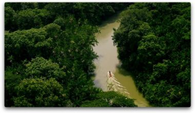 Vale encerra 2025 com campanha que propõe cuidado permanente com a Amazônia