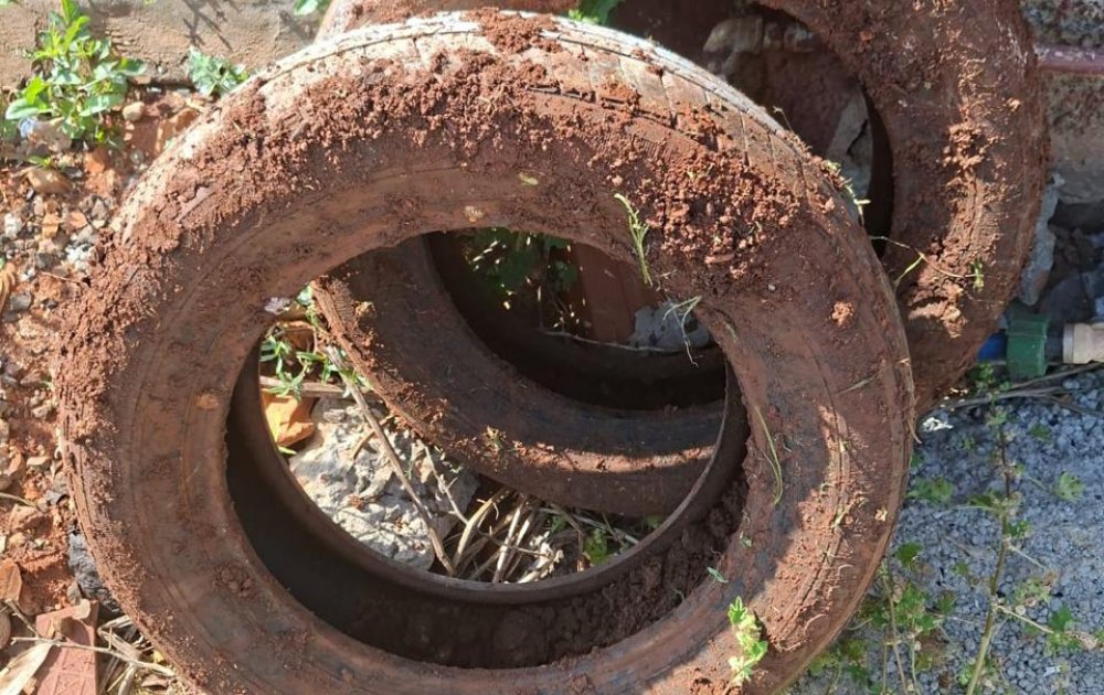 Mais de sete mil visitas realizadas no Dia D de combate à dengue em Chapecó