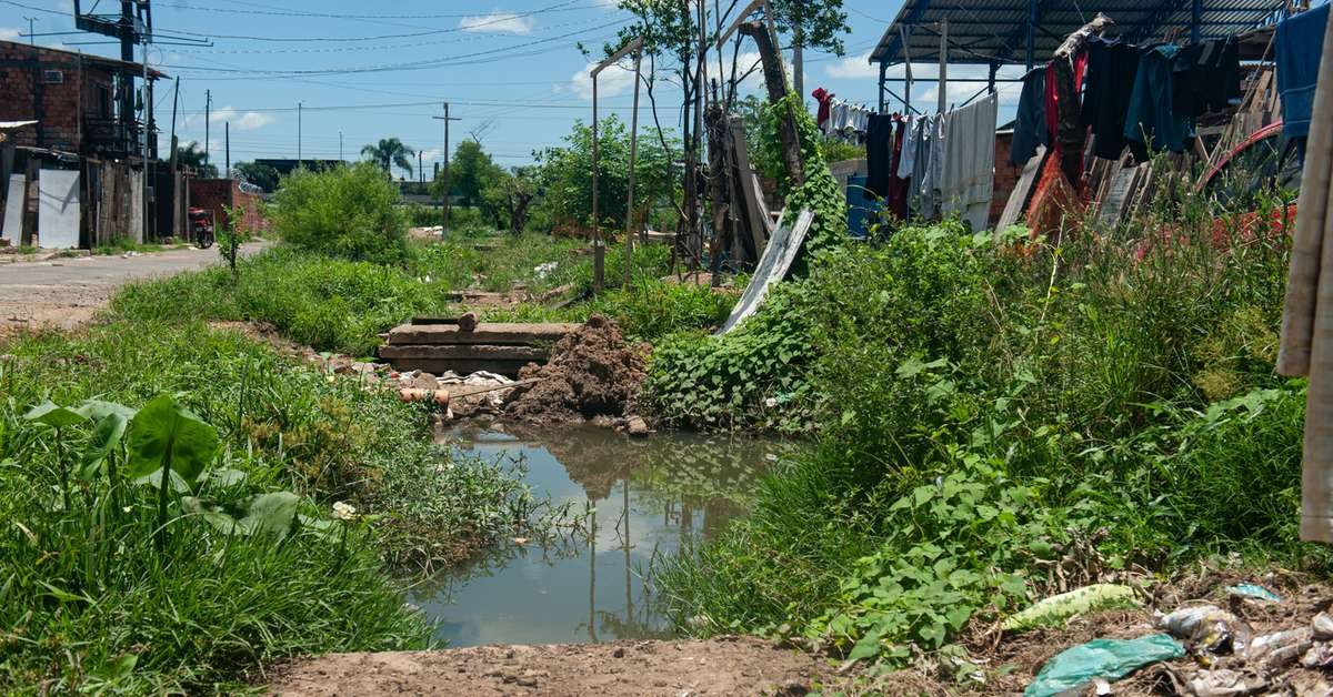 Infestação do mosquito da dengue está em nível de alerta em Porto Alegre